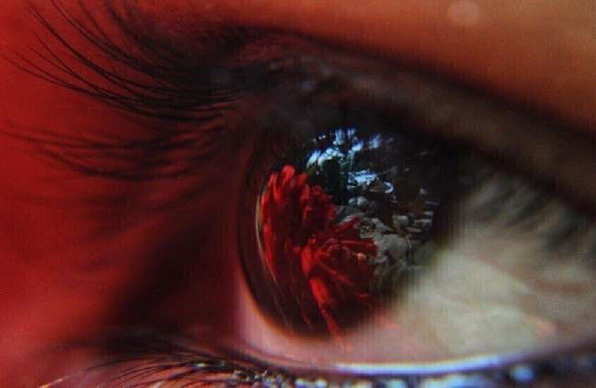 دواء شائع للسكري قد يقي من فقدان البصر.. الميتفورمين يخفض خطر الإصابة بـ"الضمور البقعي" 37%