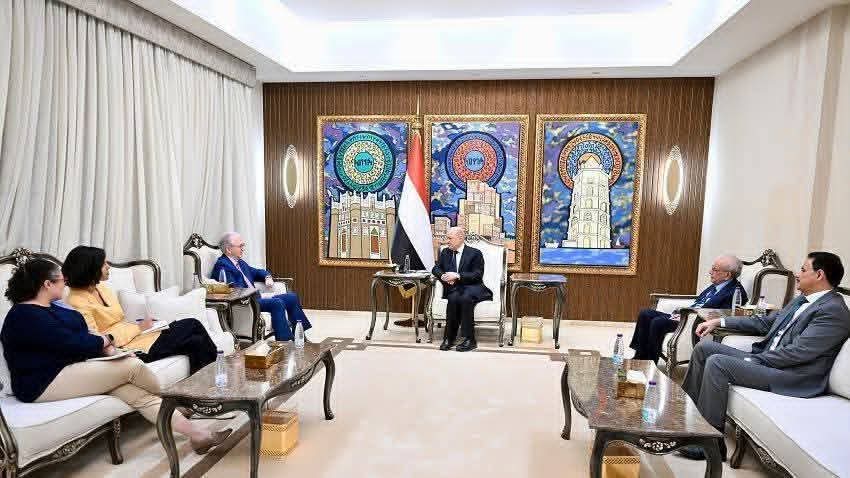 العليمي: أمن الممرات المائية مرهون بإنهاء سيطرة الحوثيين على أجزاء من اليمن