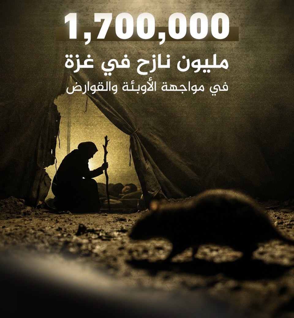 غزة تتحول إلى ساحة حرب بيولوجية: مخاوف من تفشي الطاعون مع غزو الجرذان العملاقة لمخيمات النازحين