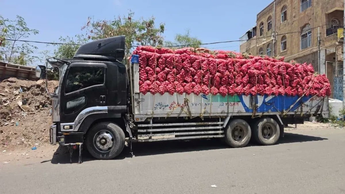 البصل اليمني والمزارعون بين الخسائر وغياب الدور المؤسسي