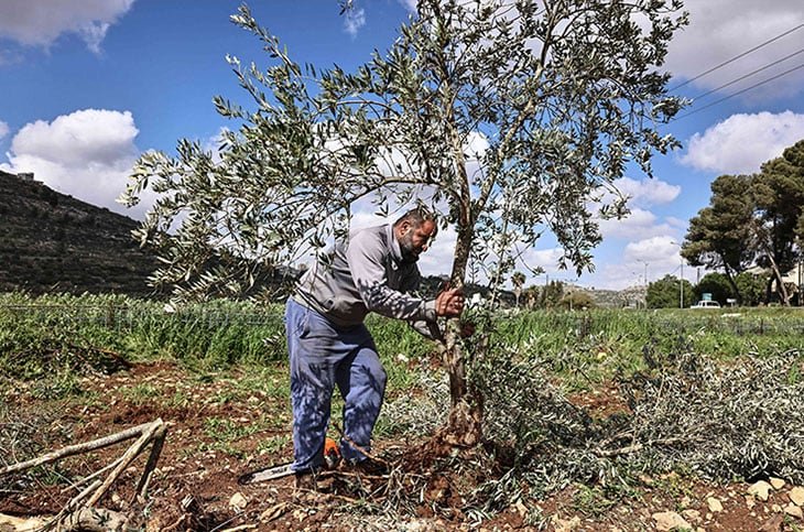 تقرير دولي: اقتصاد الضفة الغربية على حافة الانهيار.. وإسرائيل تفكك مقومات الدولة الفلسطينية