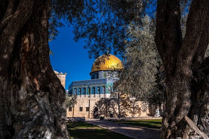 دول عربية وإسلامية تؤكد: القدس المحتلة لا سيادة للاحتلال الإسرائيلي عليها وتدين التصعيد في المسجد الأقصى