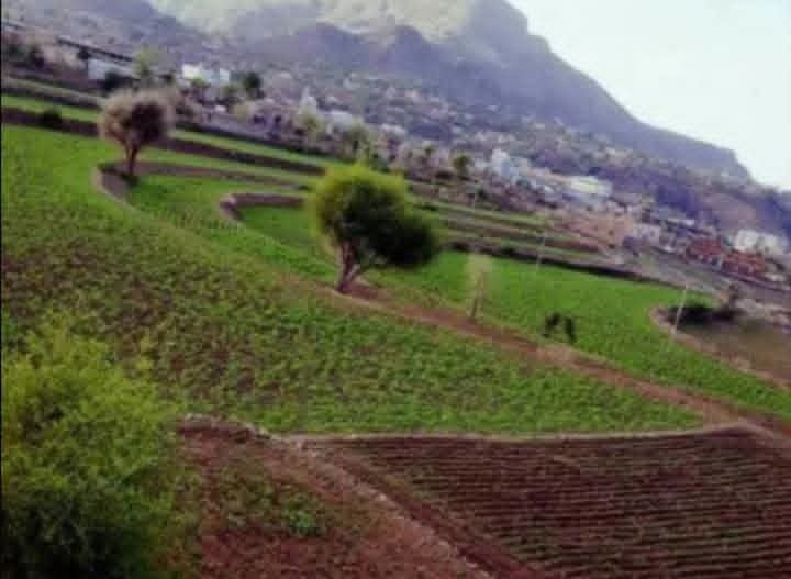 مخاوف من تأثير تدريبات عسكرية في "جبل يومين" على سكان بني مسن بالشمايتين