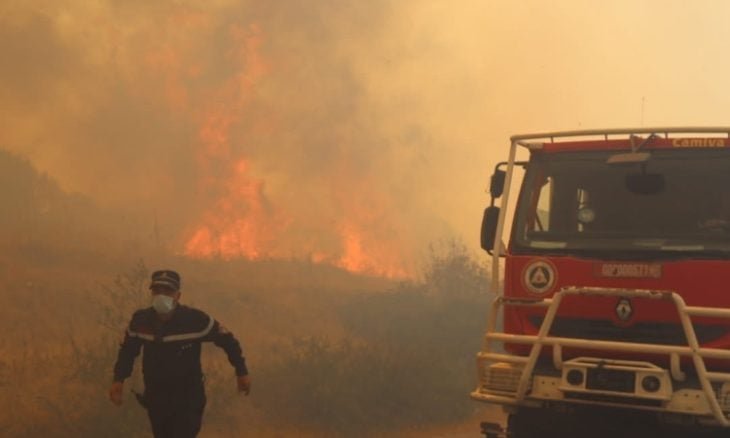 حرائق واسعة شرق الجزائر تحصد 12 قتيلاً وتدفع السلطات لإعلان الحداد